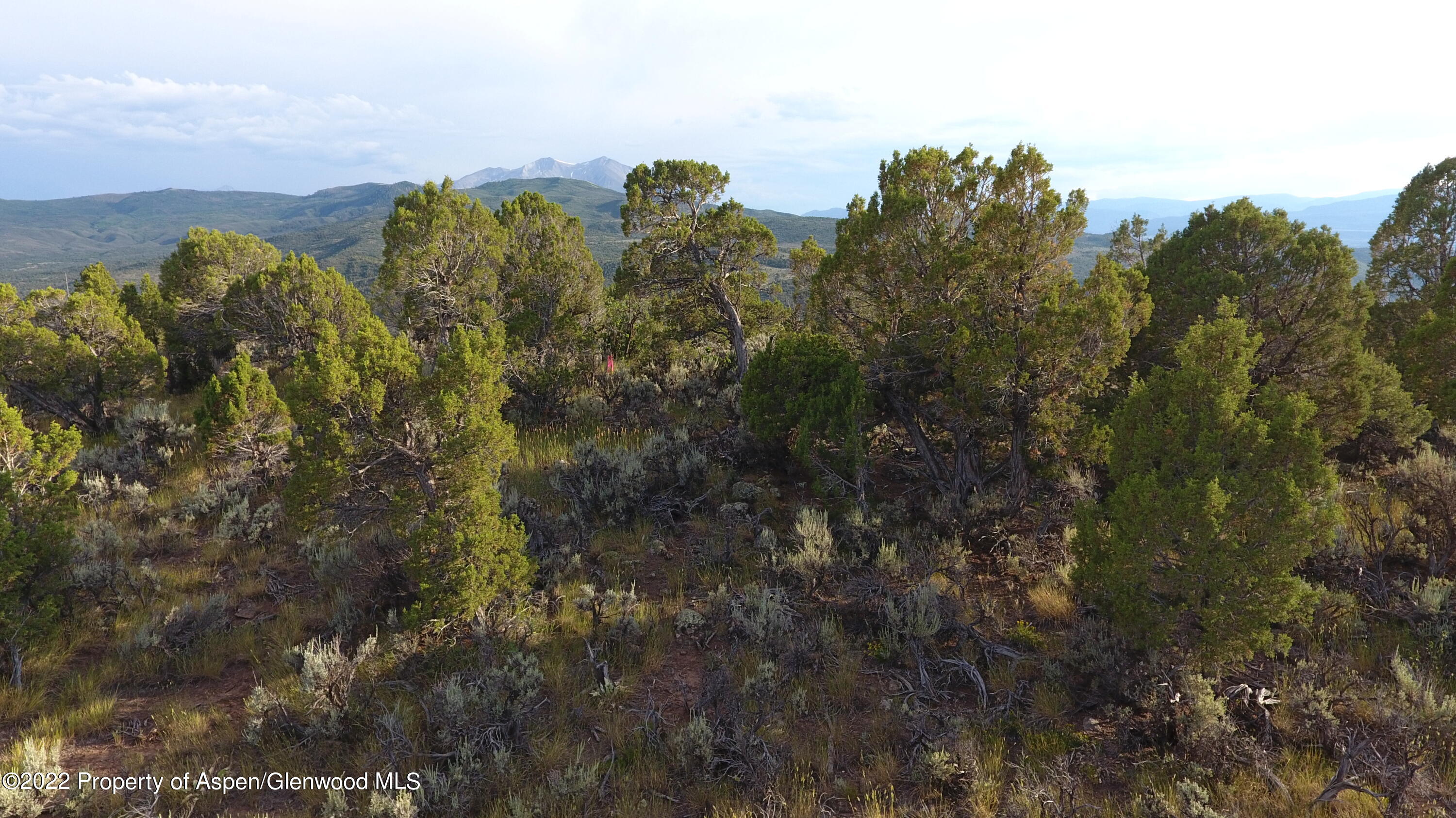 598 Whitecloud Road Carbondale, CO 81623 - Photo 10 of 10 Lot 9_3