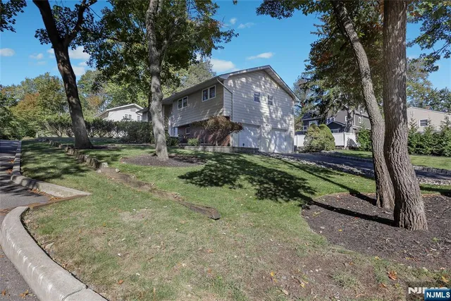 a view of a yard with plants and a tree