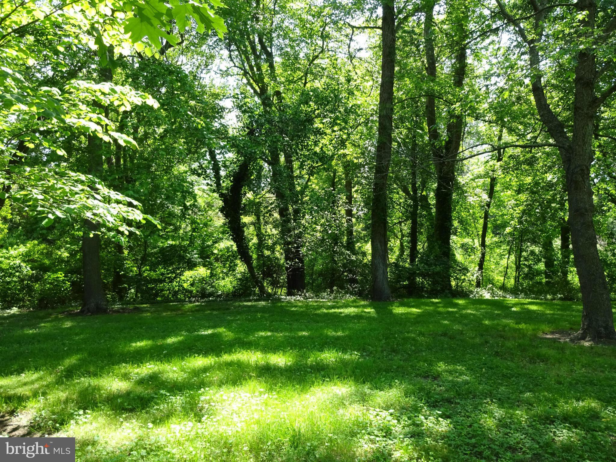 5404 Bonnie Brook Road Cambridge, MD 21613 - Photo 29 of 30 Yard (Rear)