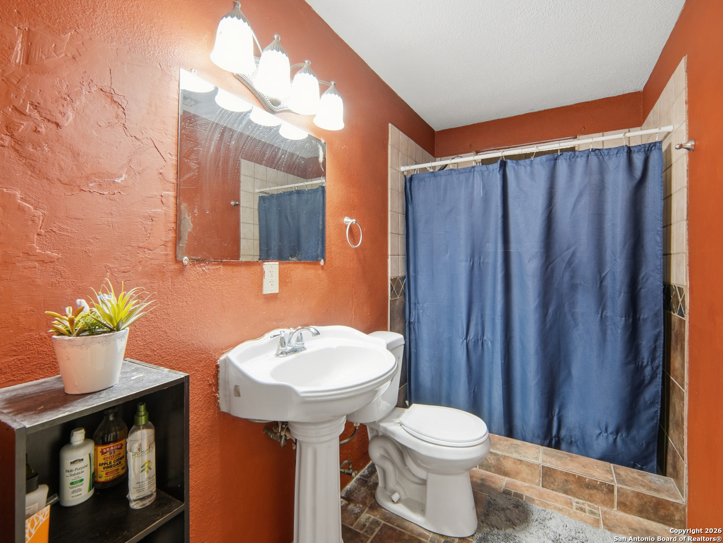 17525 Benton City Road Von Ormy, TX 78073 - Photo 17 of 36 a bathroom with a sink a toilet and mirror