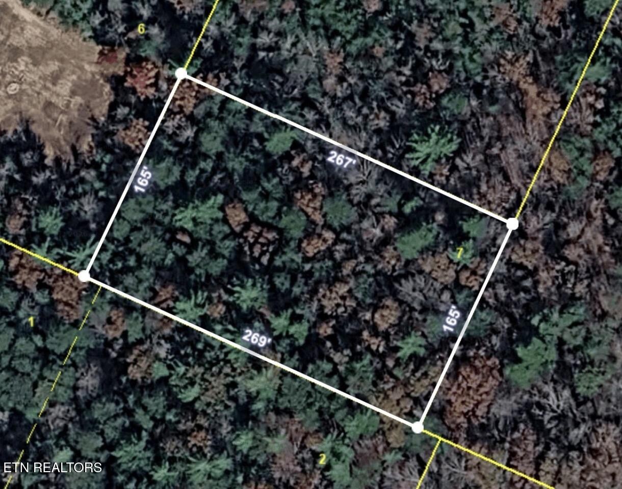 0 Lower Smithfield Road Tellico Plains, TN 37385 - Photo 1 of 13 Gallery Image 1