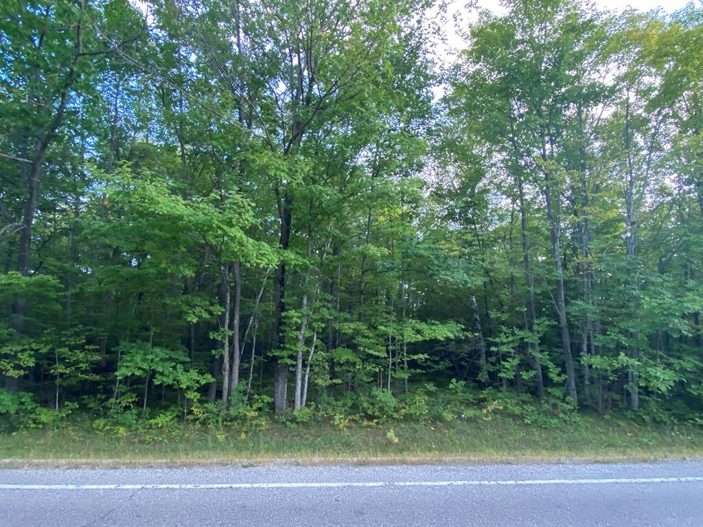 Lot 3 County Road Baileys Harbor, WI 54202 - Photo 1 of 3 Main View