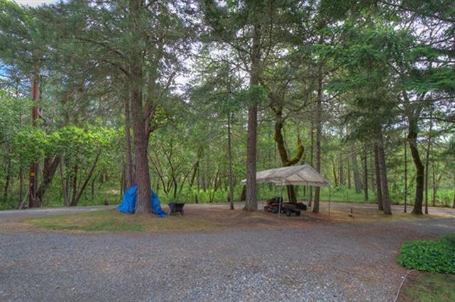 7192 Lower River Road Grants Pass, OR 97526 - Photo 30 of 30 a view of a park with large trees