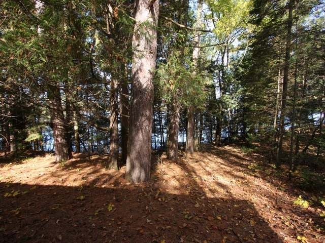 3792 Cth A Three Lakes Rhinelander, WI 54501 - Photo 4 of 14 Gallery Image 4