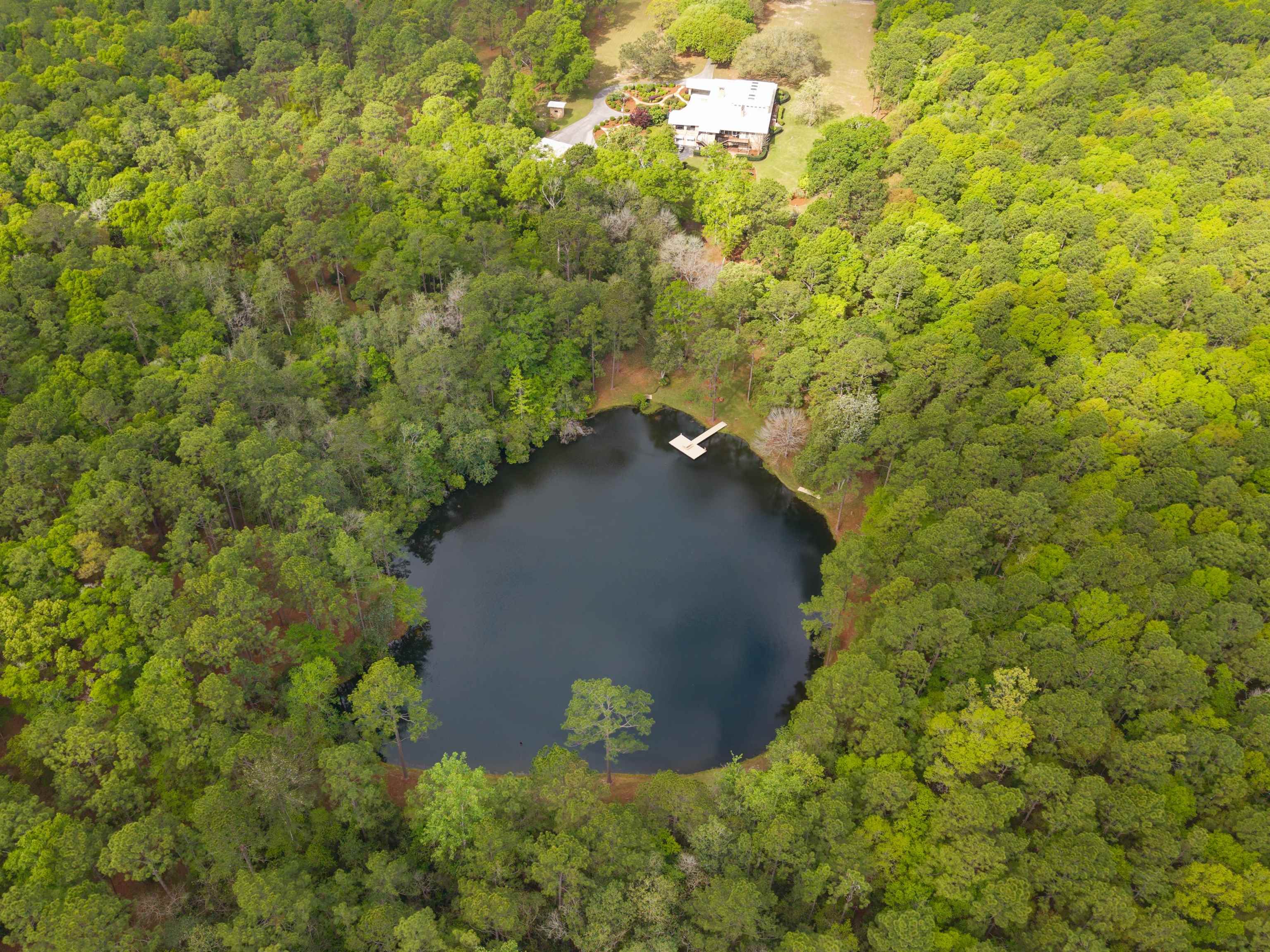 3175 Dawes Lake Road Mobile, AL 36619 - Photo 59 of 92 Aerial View