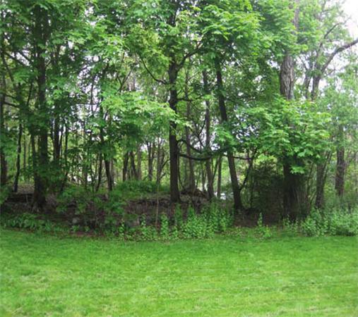 15 Ridge Street Winchester, MA 01890 - Photo 2 of 18
