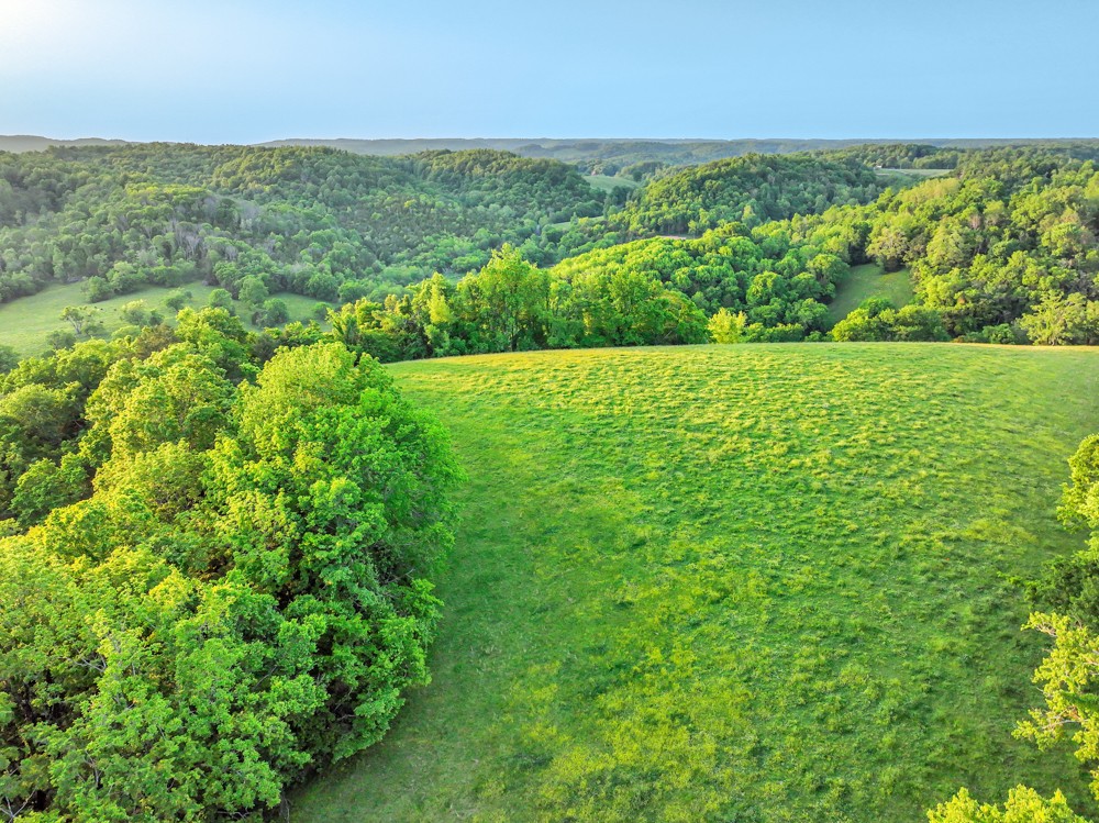 0 Stepp Road Wartrace, TN 37183 - Photo 12 of 23 a view of a green field with an outdoor space