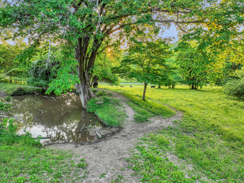 0 Stepp Road Wartrace, TN 37183 - Photo 15 of 23 a view of a garden with a lake