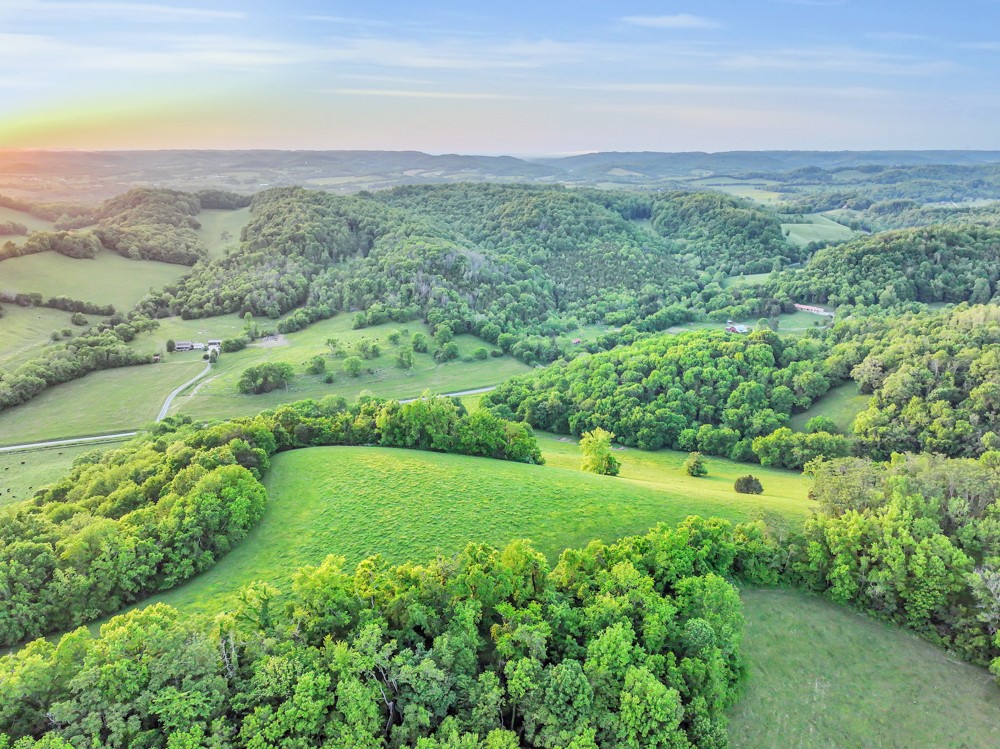 0 Stepp Road Wartrace, TN 37183 - Photo 20 of 23 a view of a lush green space with sea