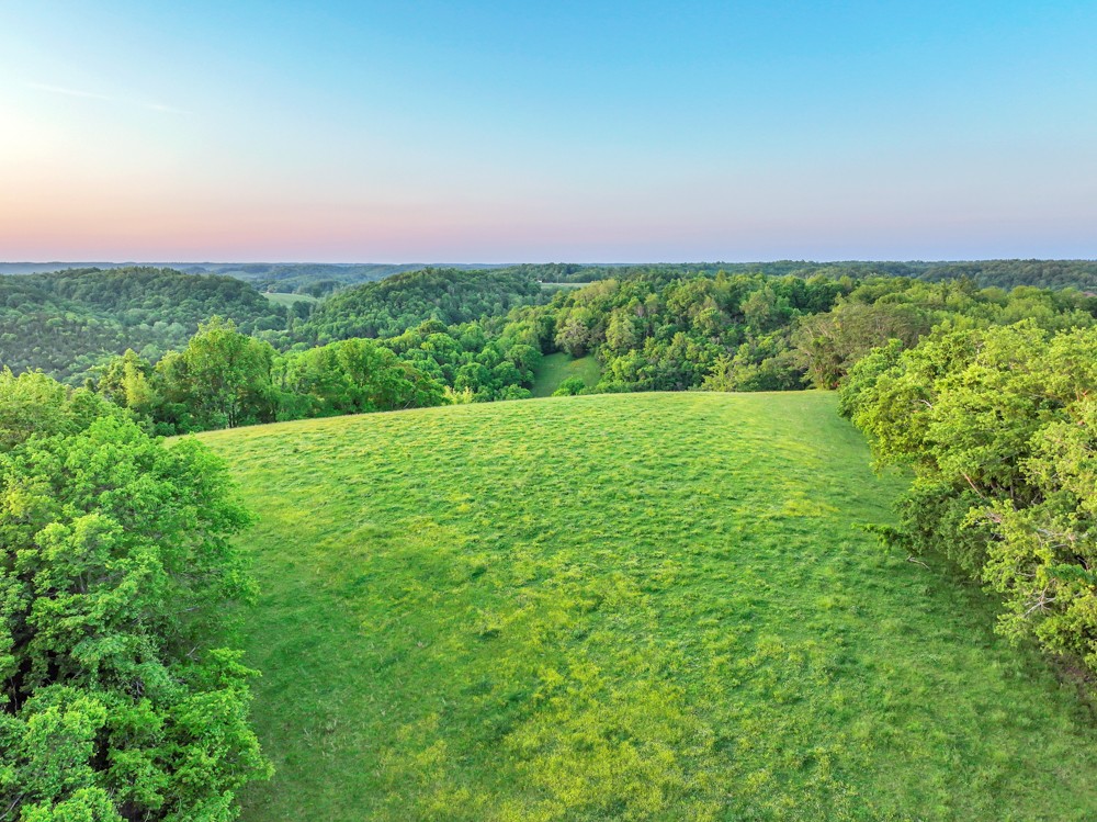 0 Stepp Road Wartrace, TN 37183 - Photo 21 of 23 a view of a field with an ocean