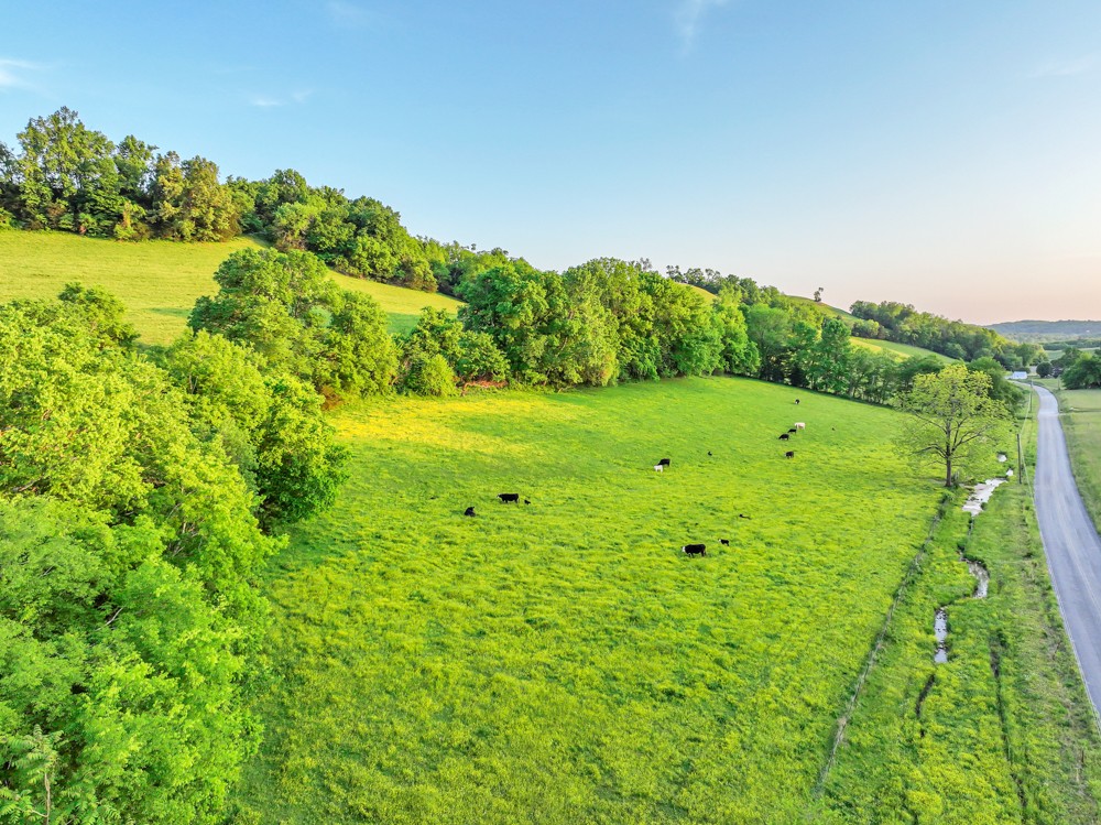 0 Stepp Road Wartrace, TN 37183 - Photo 8 of 23 a view of a green field with lots of bushes