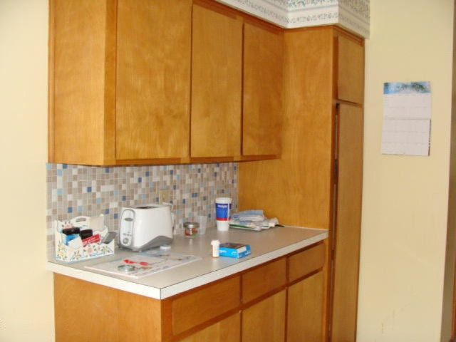 4432 Clyde Road Lyons, MI 48851 - Photo 13 of 42 DSC07164