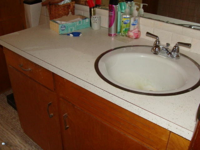 4432 Clyde Road Lyons, MI 48851 - Photo 21 of 42 DSC07170