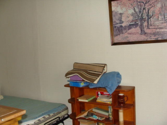 4432 Clyde Road Lyons, MI 48851 - Photo 32 of 42 DSC07187