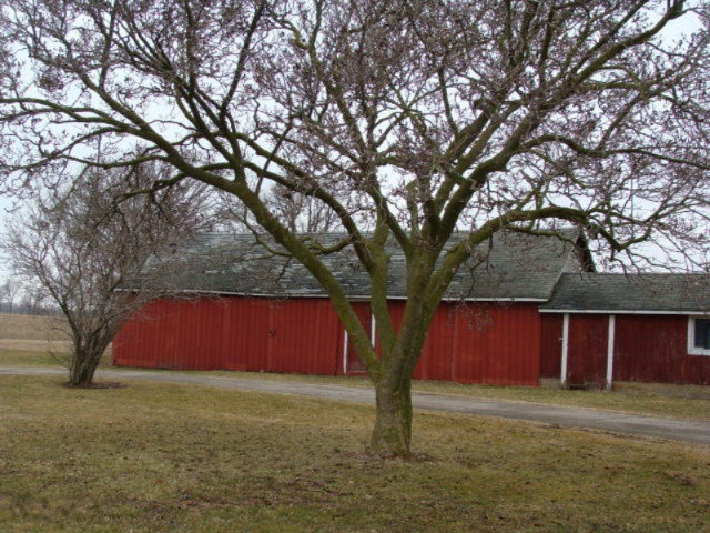 4432 Clyde Road Lyons, MI 48851 - Photo 7 of 42 DSC07203