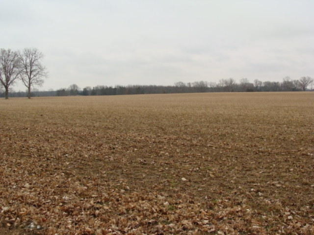 4432 Clyde Road Lyons, MI 48851 - Photo 10 of 42 DSC07206