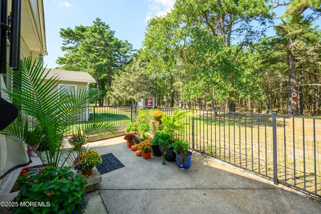 a view of a garden with plants and large trees