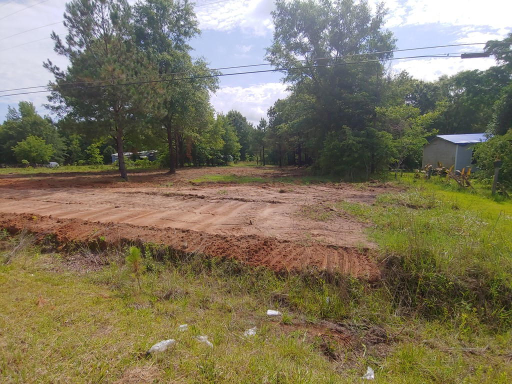 511 Home Tract Road Waynesboro, GA 30830 - Photo 2 of 7 Gallery Image 2