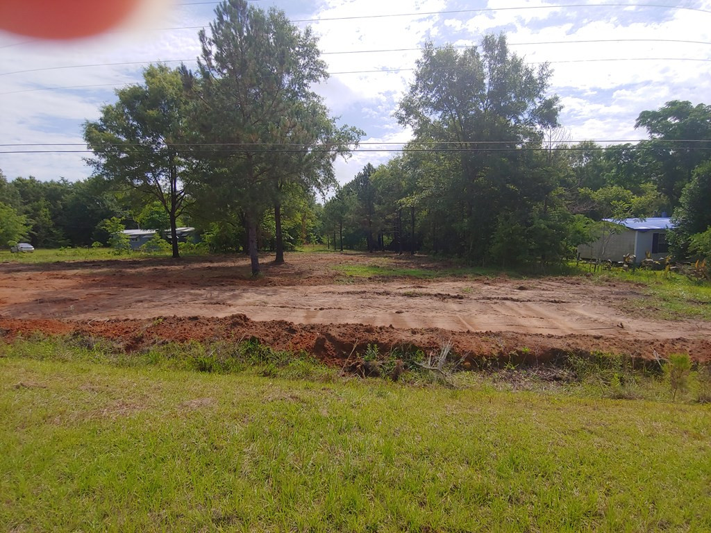 511 Home Tract Road Waynesboro, GA 30830 - Photo 3 of 7 Gallery Image 3