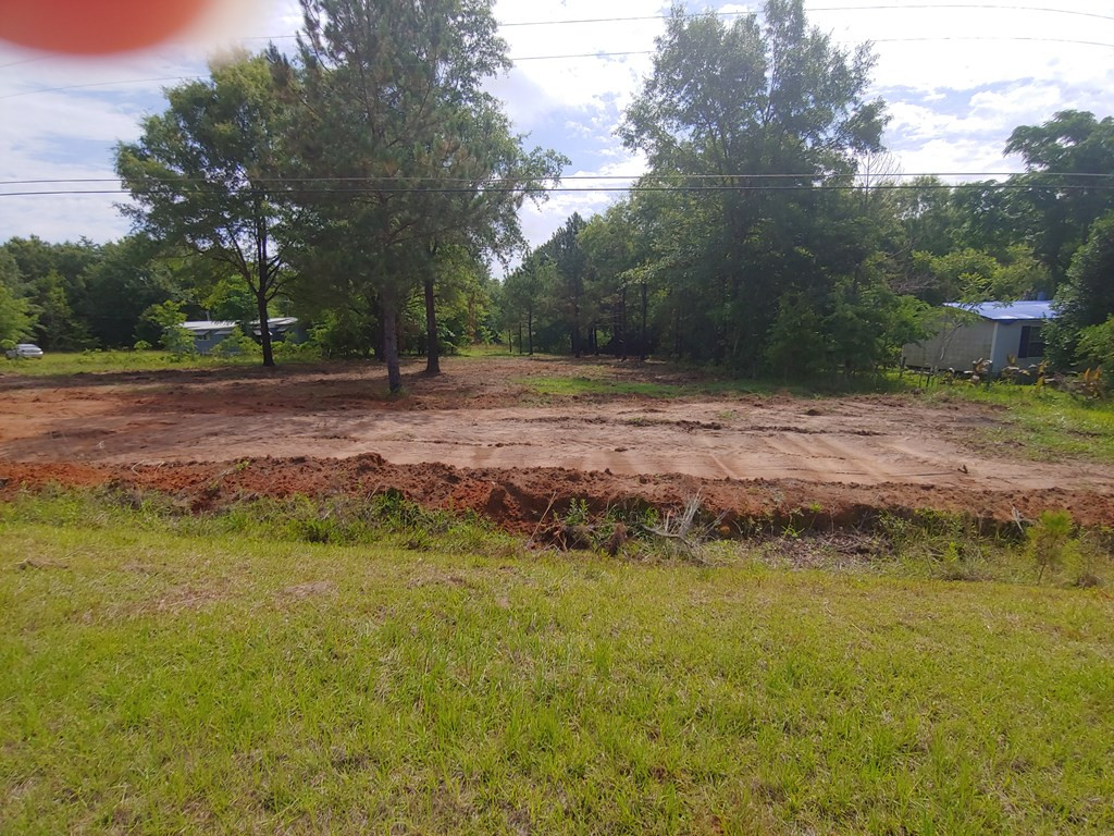 511 Home Tract Road Waynesboro, GA 30830 - Photo 4 of 7 Gallery Image 4