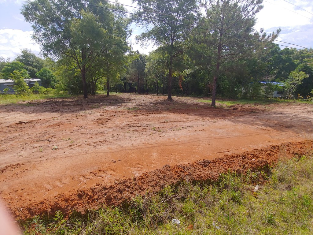 511 Home Tract Road Waynesboro, GA 30830 - Photo 5 of 7 Gallery Image 5