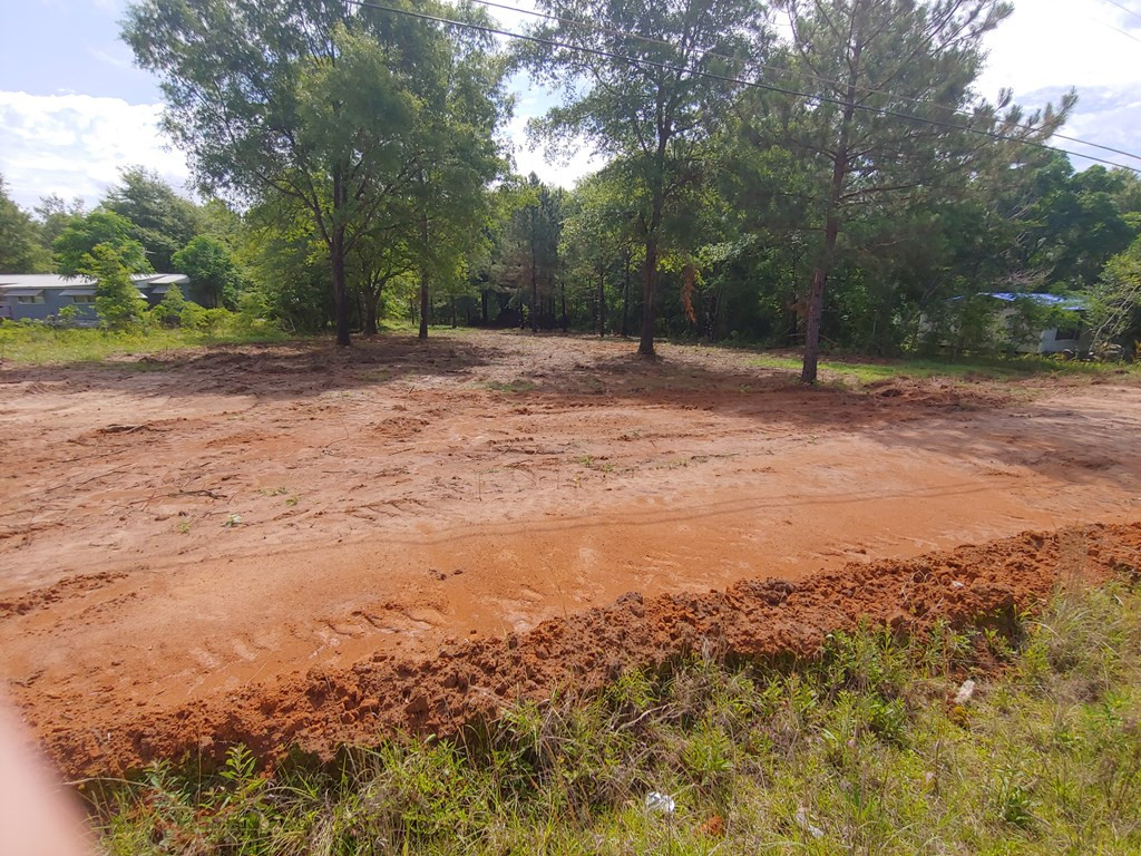 511 Home Tract Road Waynesboro, GA 30830 - Photo 6 of 7 Gallery Image 6