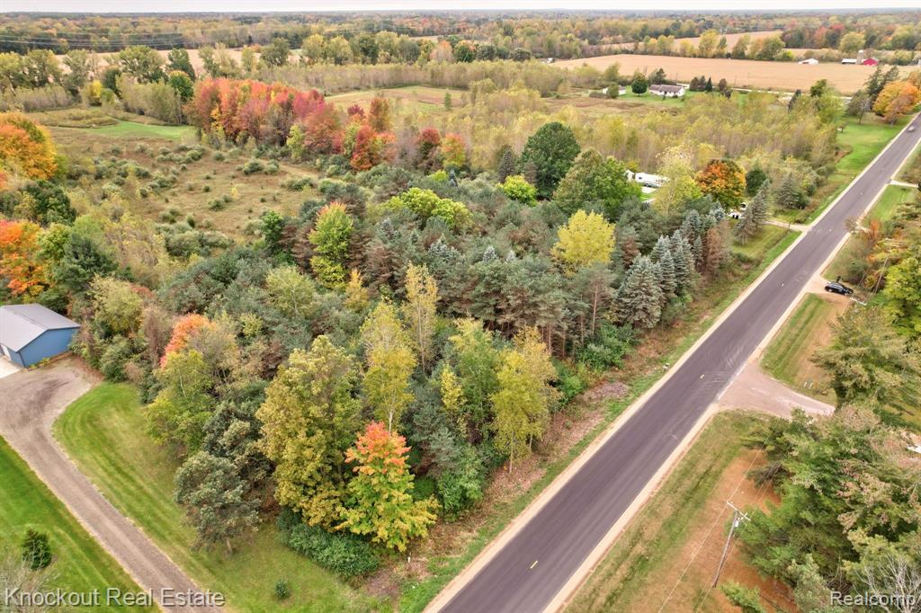 0 Birch Run Road Munger, MI 48747 - Photo 5 of 18