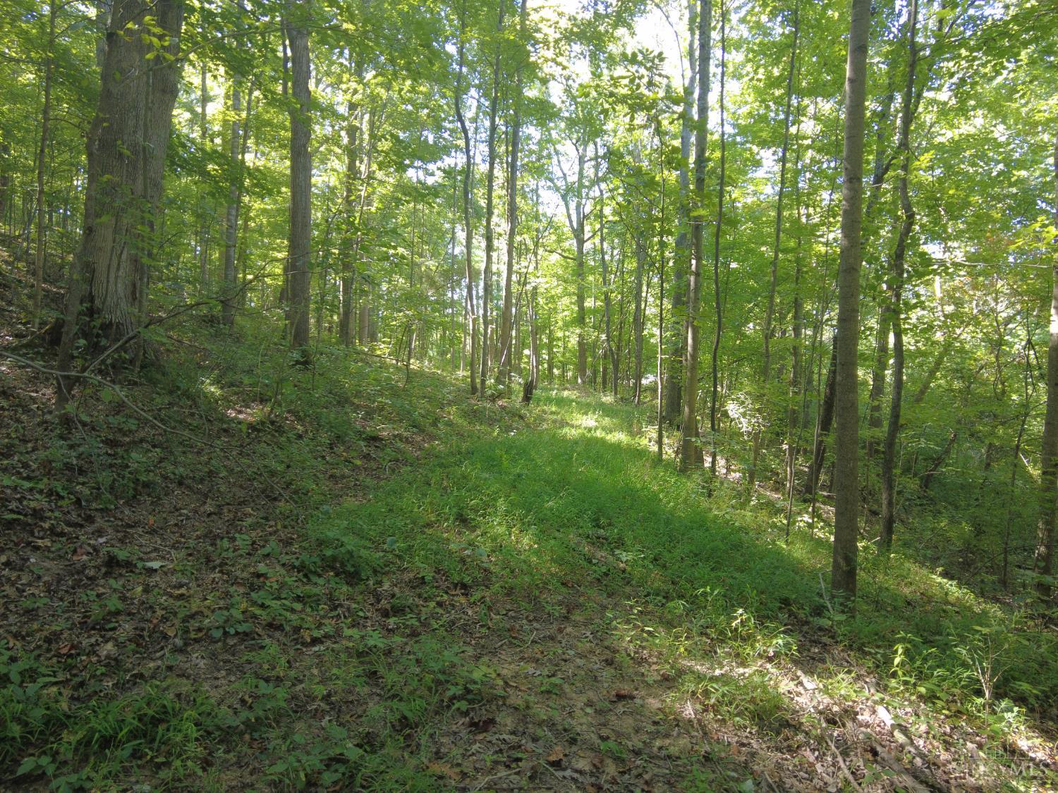 16 Black Hollow Road Peebles, OH 45660 - Photo 10 of 39