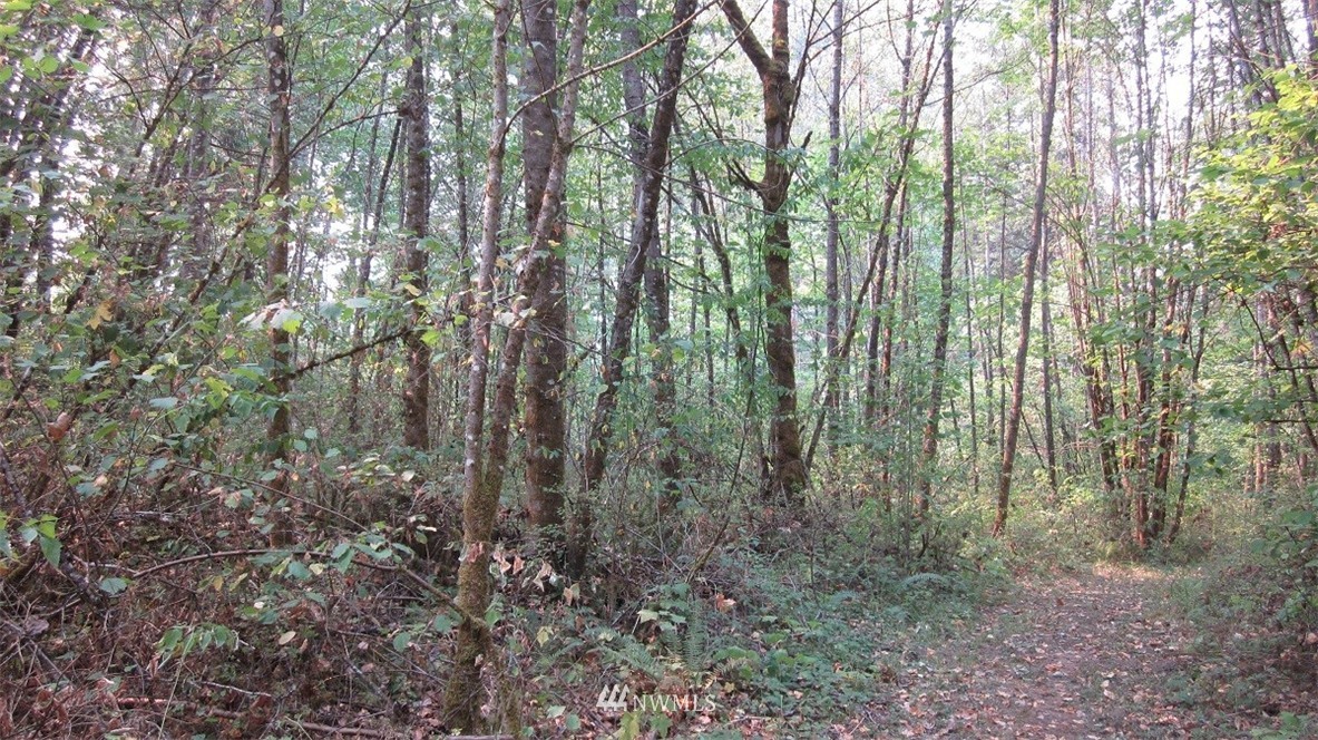 002 Collins Road Toledo, WA 98591 - Photo 11 of 24