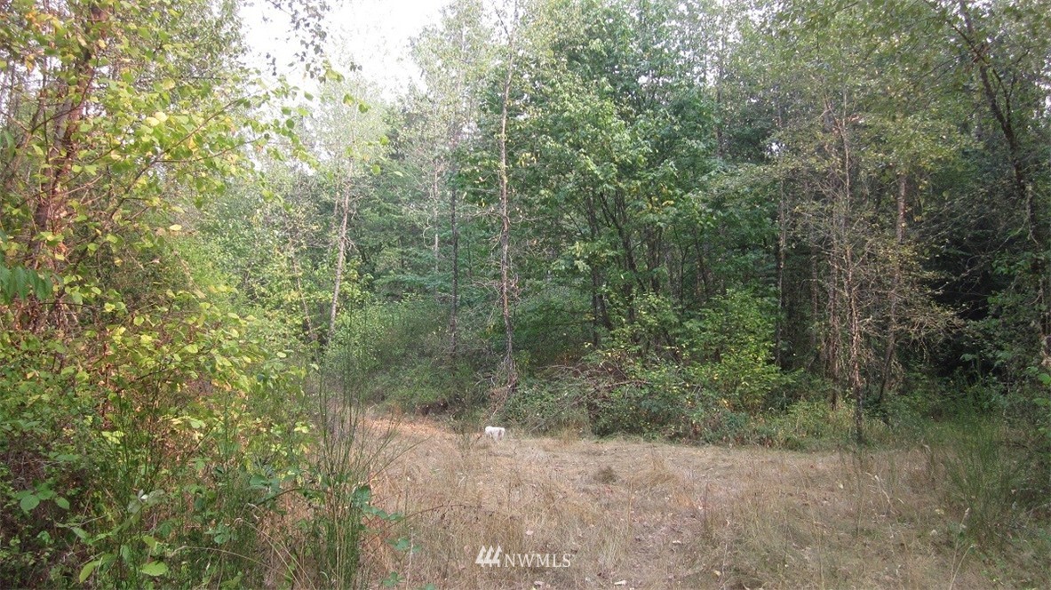 002 Collins Road Toledo, WA 98591 - Photo 12 of 24