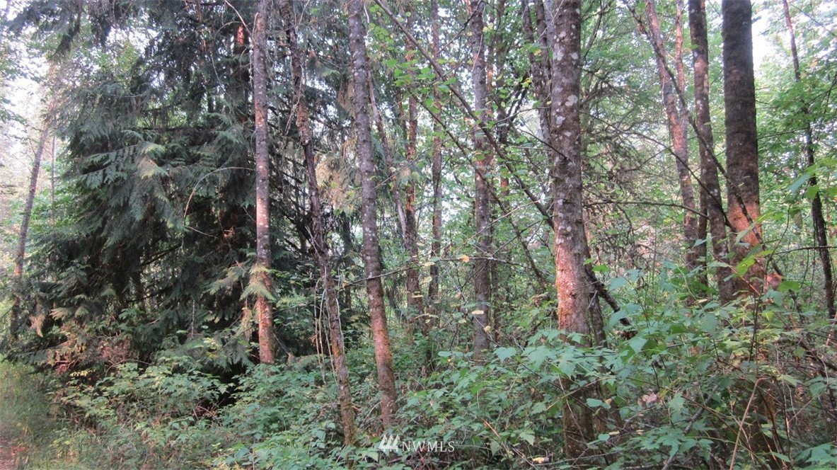 002 Collins Road Toledo, WA 98591 - Photo 15 of 24
