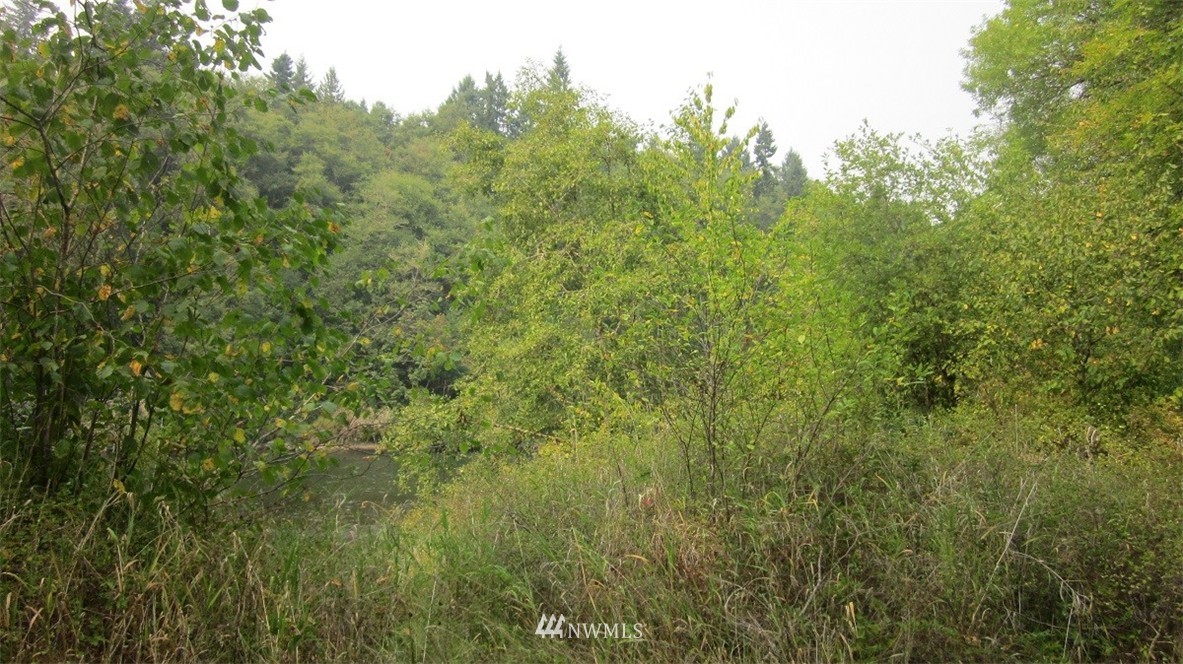 002 Collins Road Toledo, WA 98591 - Photo 16 of 24