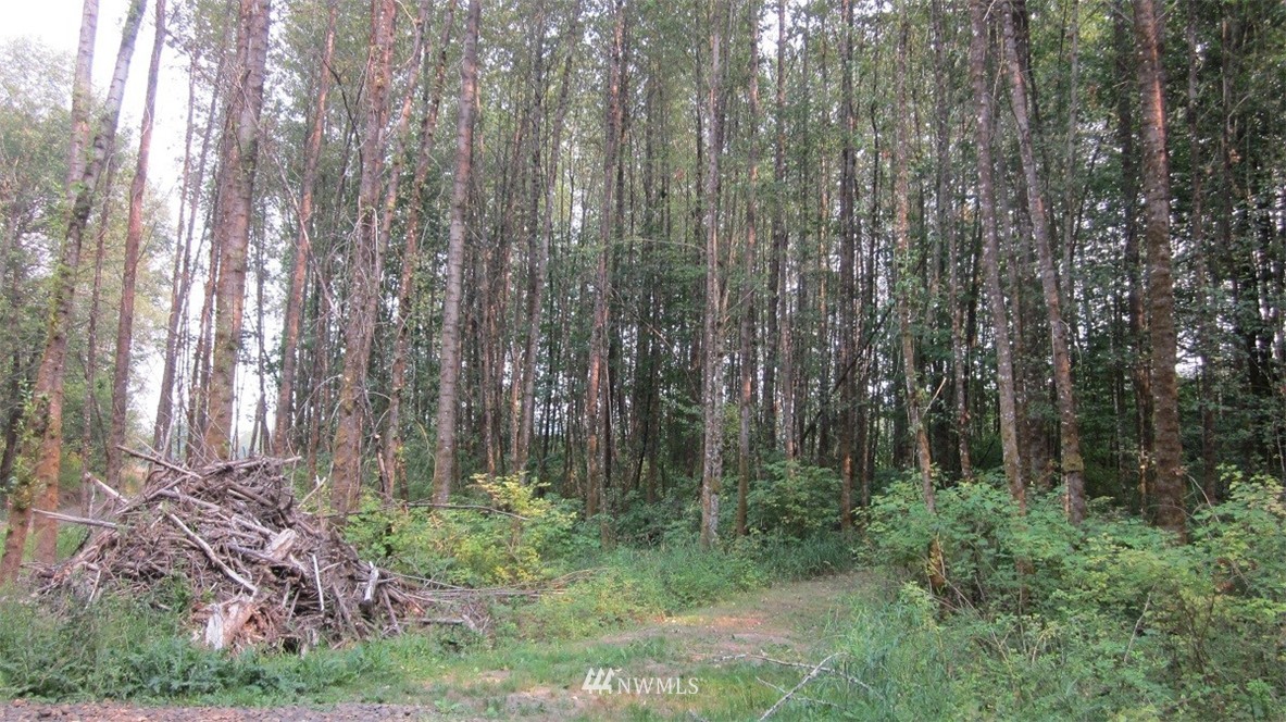 002 Collins Road Toledo, WA 98591 - Photo 17 of 24
