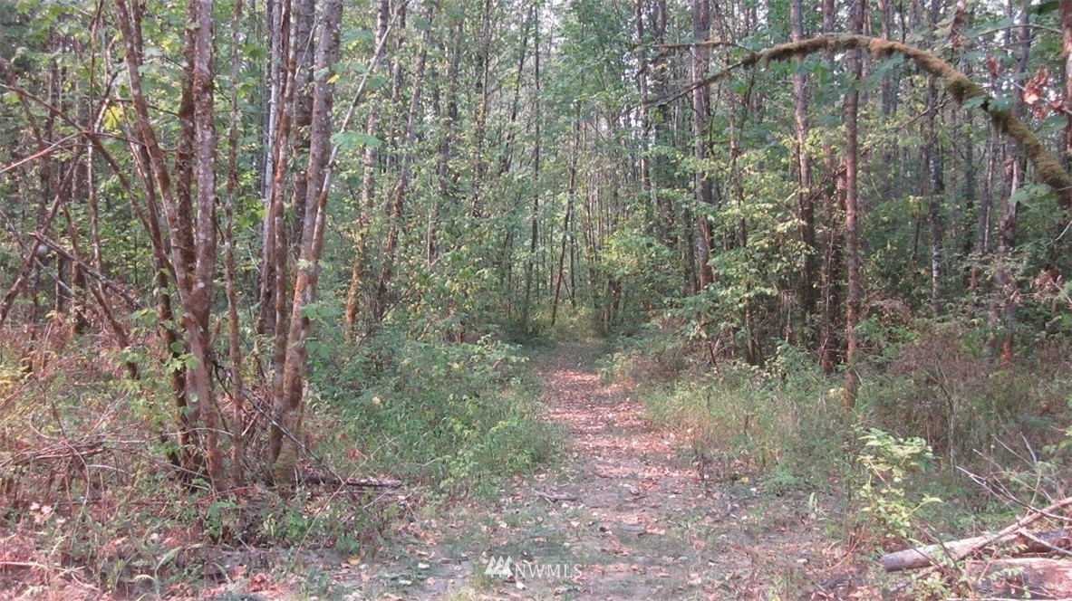 002 Collins Road Toledo, WA 98591 - Photo 18 of 24
