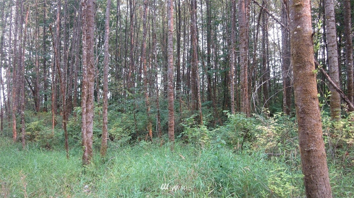002 Collins Road Toledo, WA 98591 - Photo 19 of 24