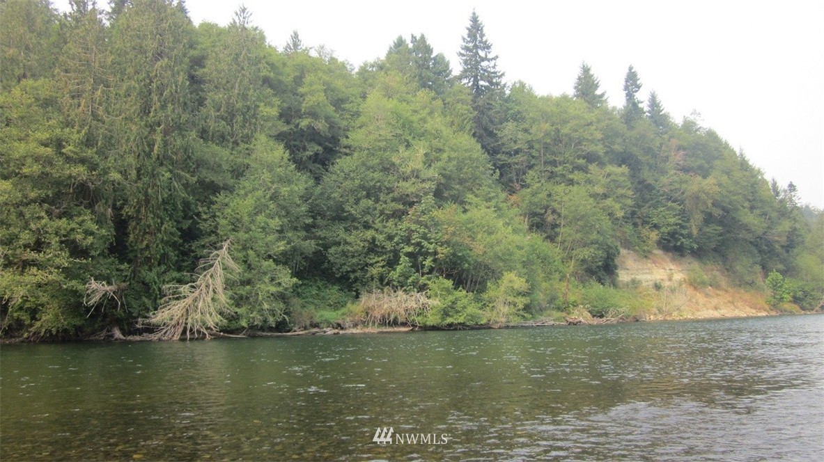 002 Collins Road Toledo, WA 98591 - Photo 24 of 24