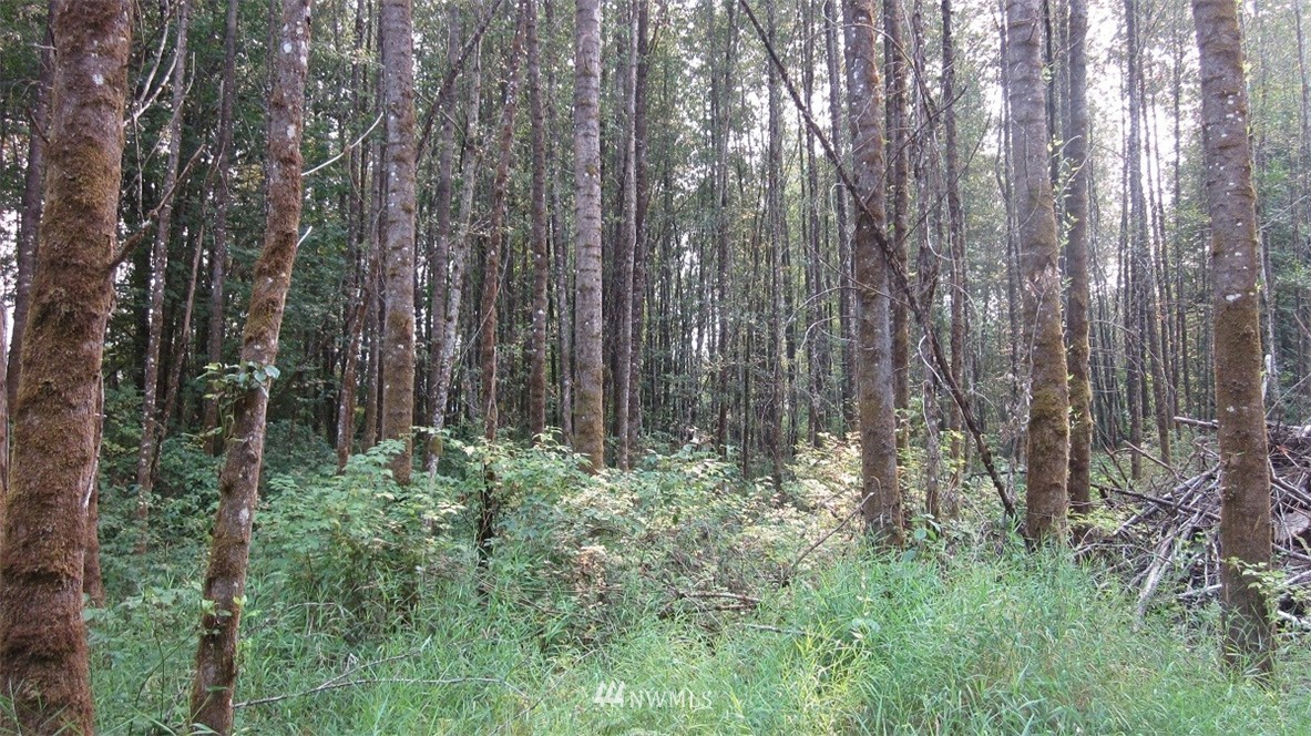 002 Collins Road Toledo, WA 98591 - Photo 10 of 24