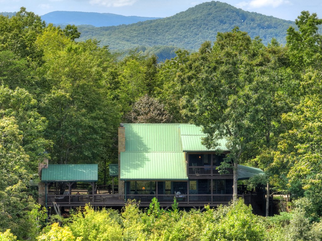 296 Overlook Road Blue Ridge, GA 30513 - Photo 12 of 65 Gallery Image 12