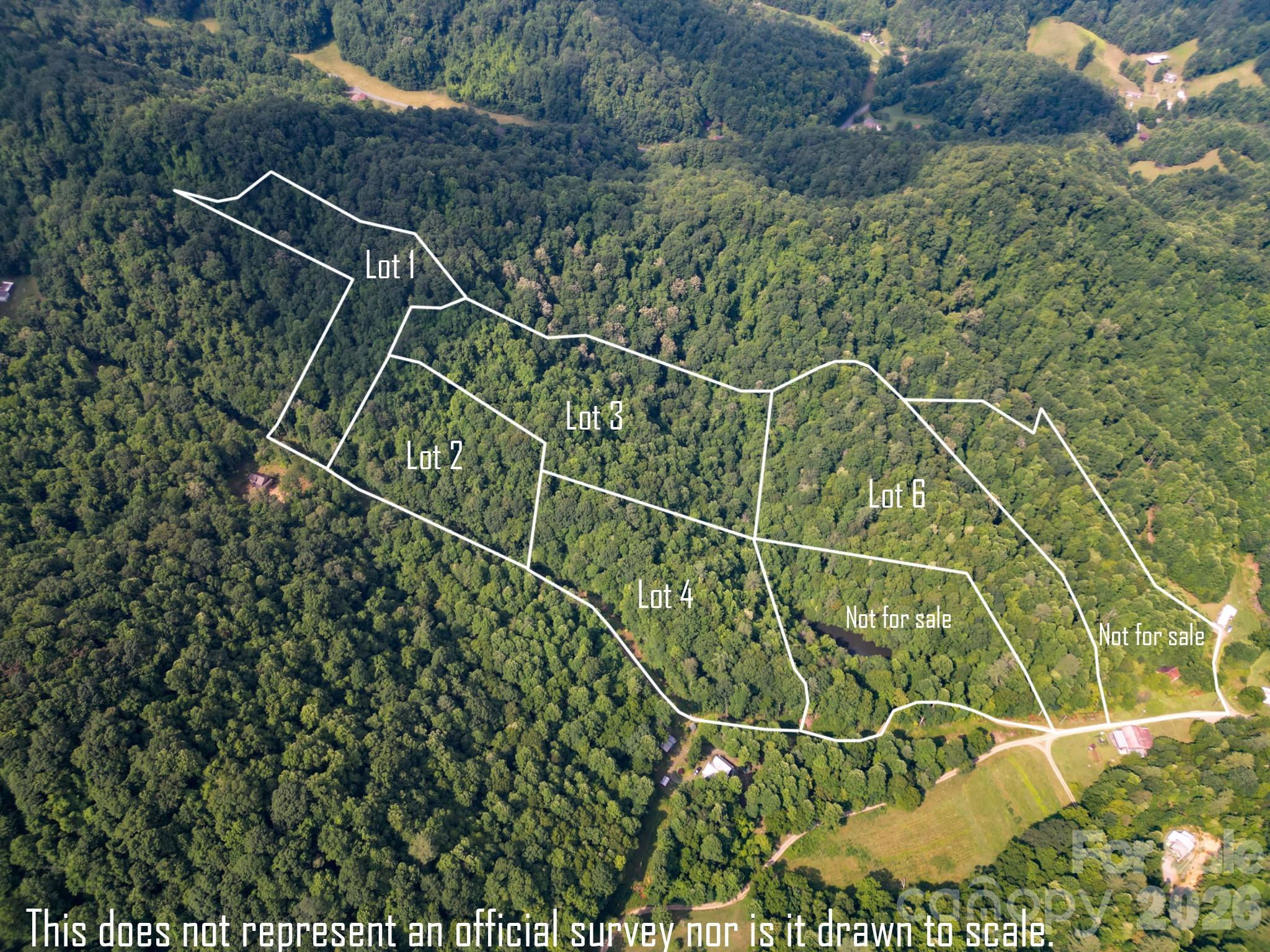 ### Board Tree Road, Unit 3 Marshall, NC 28753 - Photo 3 of 12