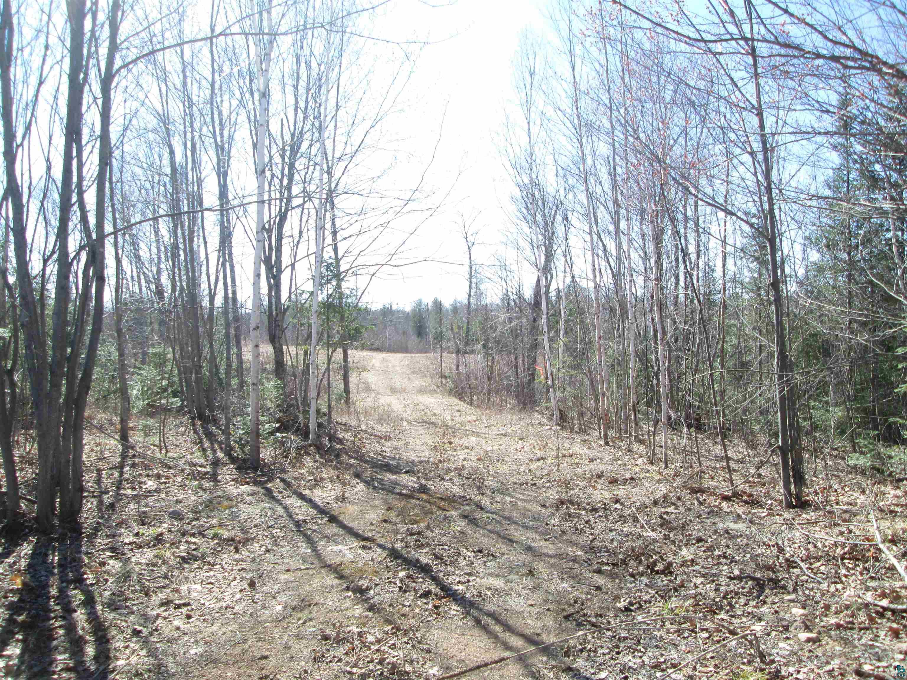 Lot 2-40 Acres County Road South Range, WI 54874 - Photo 21 of 39 Gallery Image 21