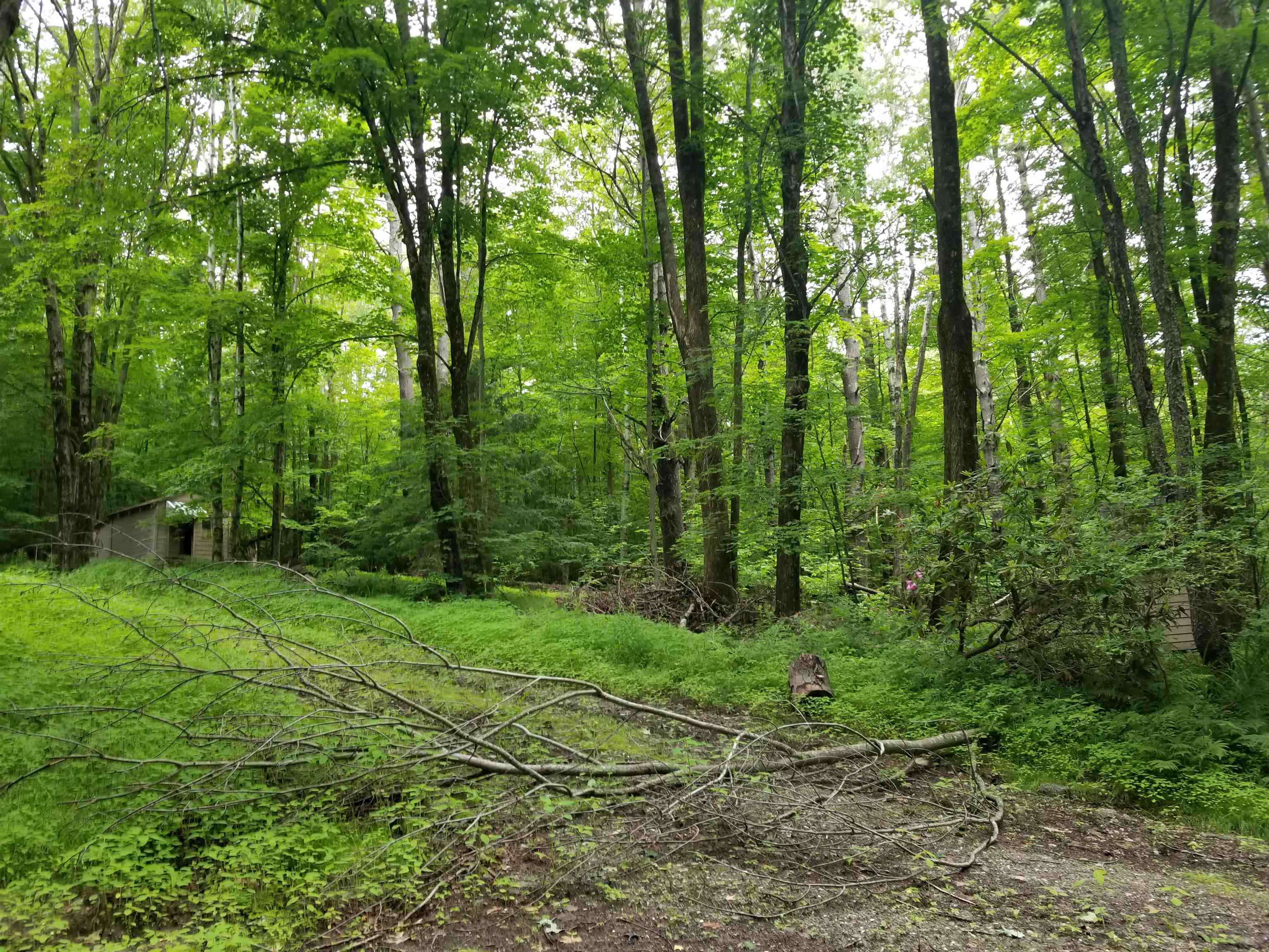681 Cold Pond Road Acworth, NH 03601 - Photo 5 of 11