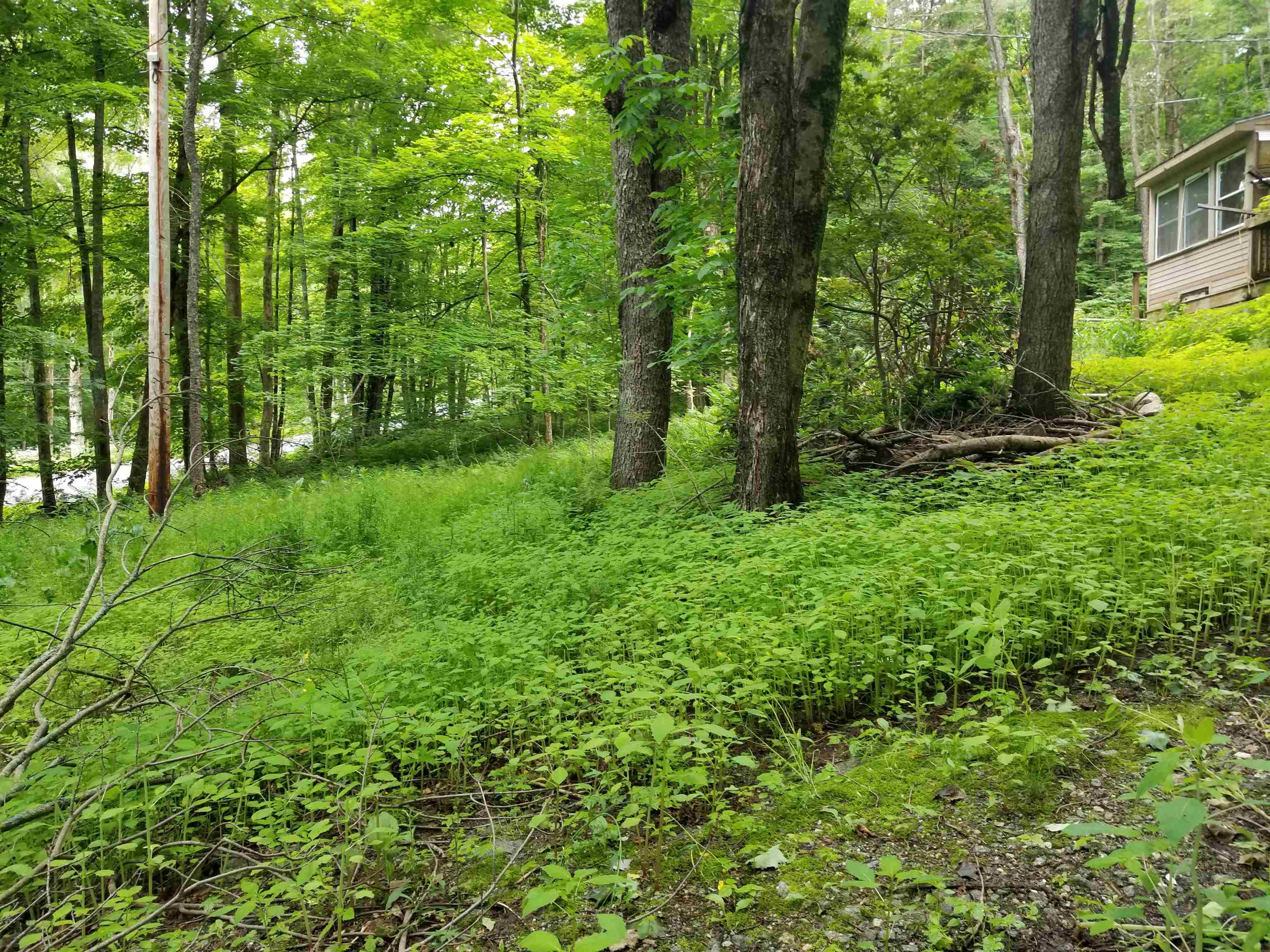 681 Cold Pond Road Acworth, NH 03601 - Photo 7 of 11