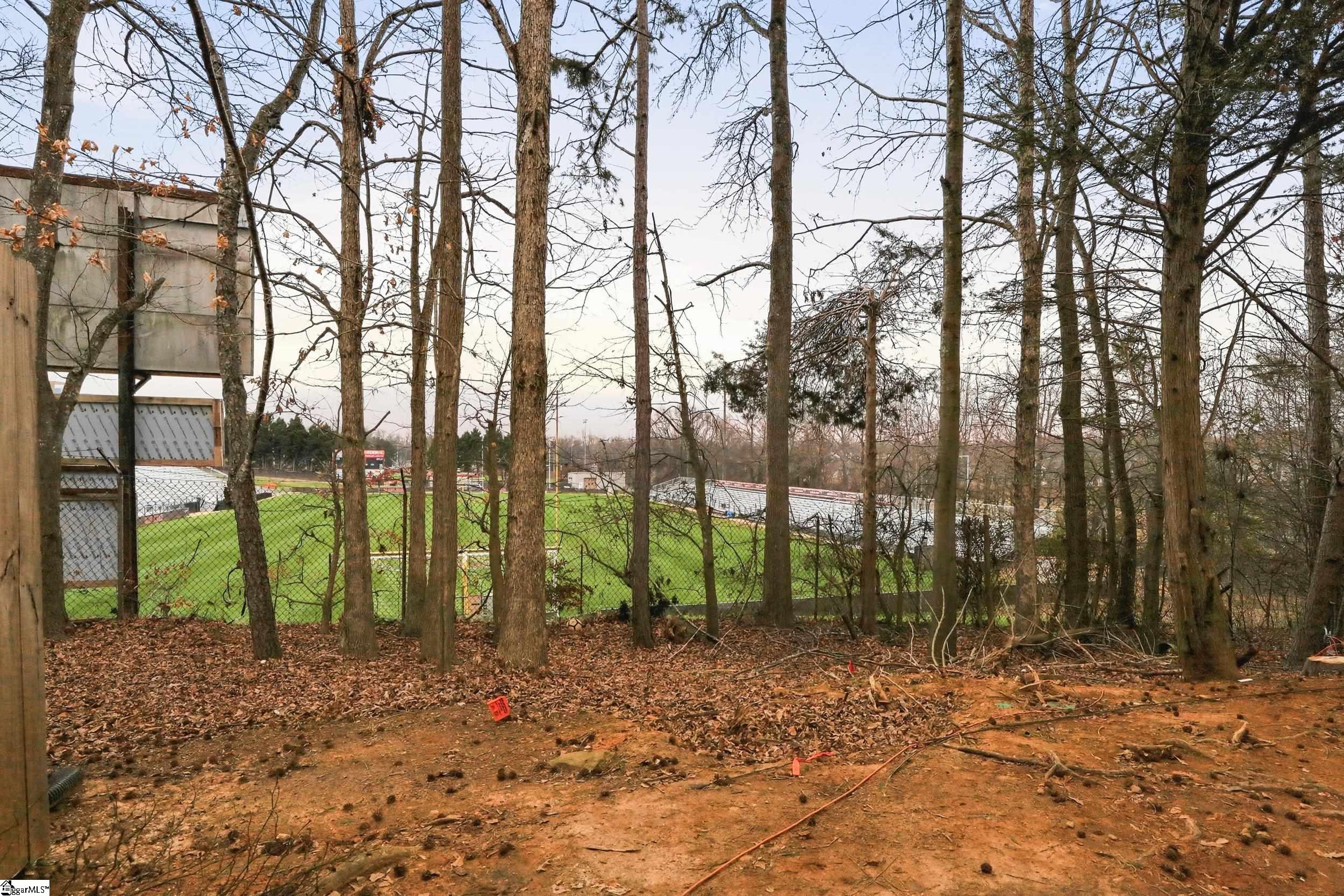 448 Canewood Place Mauldin, SC 29662 - Photo 14 of 32