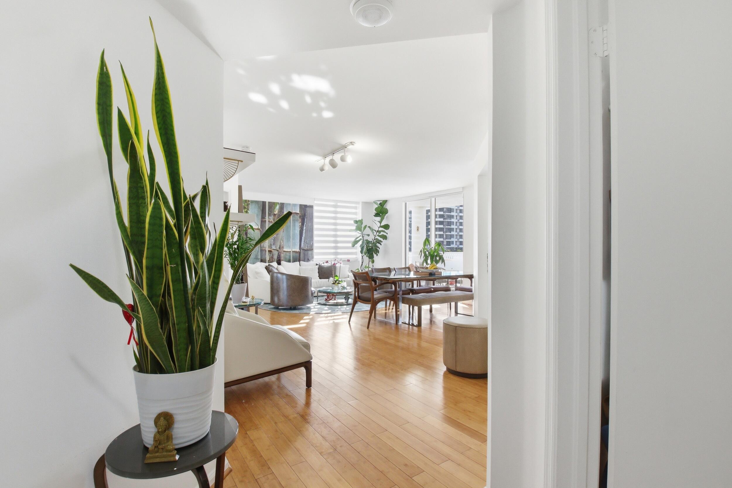 701 Brickell Key Boulevard, Unit 610 Miami, FL 33131 - Photo 5 of 40 a view of a livingroom with furniture and a potted plant