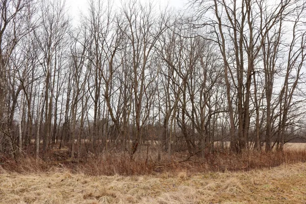 $67,800 | Sparling Road, Unit LOT 2, Goodells, MI 48027