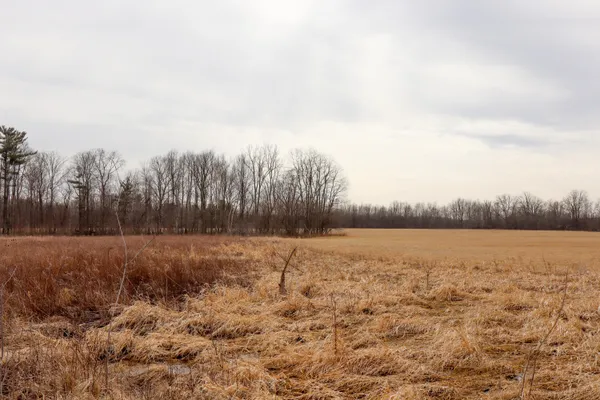 $67,800 | Sparling Road, Unit LOT 2, Goodells, MI 48027