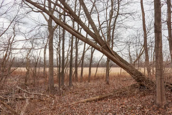 $67,800 | Sparling Road, Unit LOT 2, Goodells, MI 48027