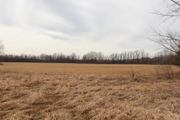 $67,800 | Sparling Road, Unit LOT 2, Goodells, MI 48027