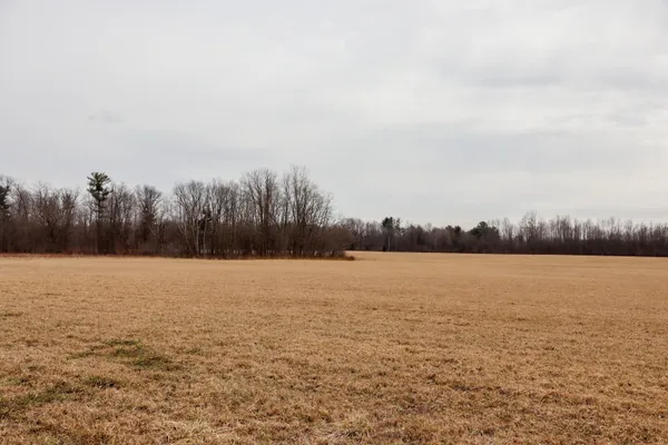 $67,800 | Sparling Road, Unit LOT 2, Goodells, MI 48027