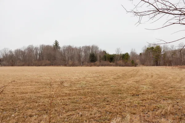 $67,800 | Sparling Road, Unit LOT 2, Goodells, MI 48027